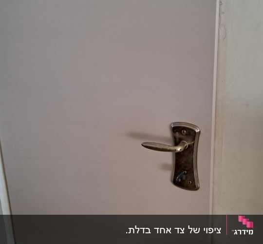 דלת עם ציפוי חלק וידית מתכת כסופה